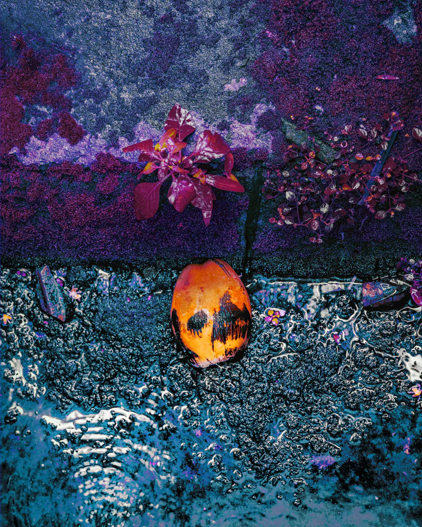 After The Fall